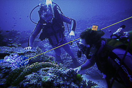 scuba instructor uses green laser as pointer